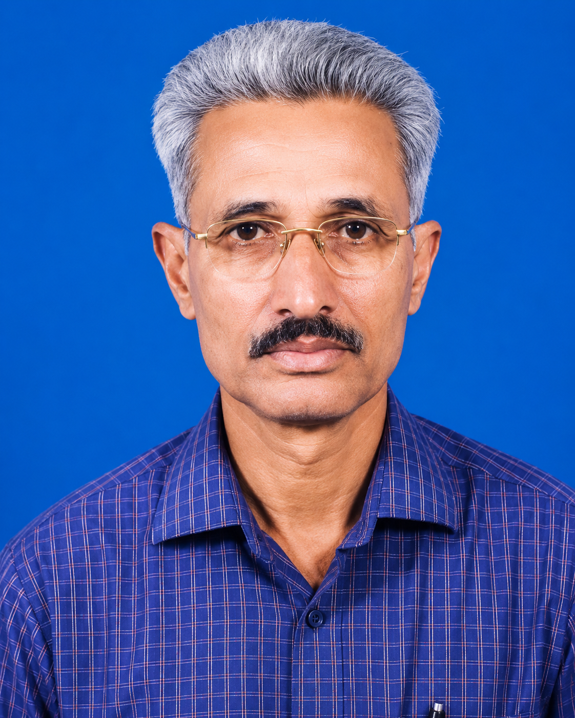 Shri. Sanjeev Bhalachandra Karale